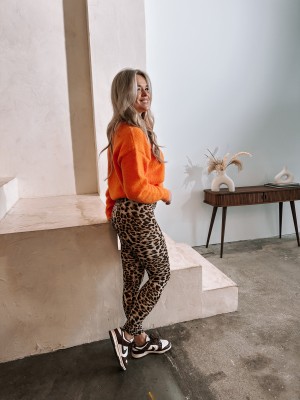 Luce leopard legging